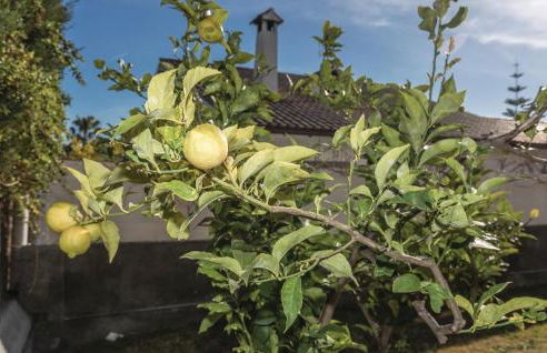 Roc De San Gaietà - Foto 26