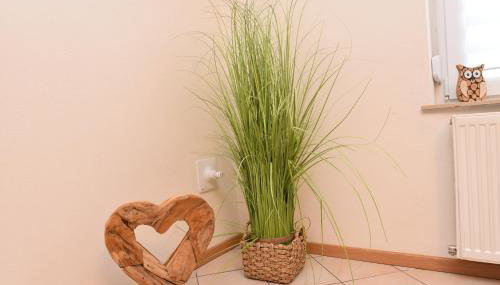 Ferienwohnung Emma - Foto 2