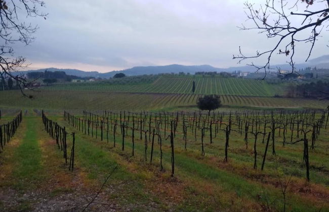 Apartment in Tuscany Near Florence - Foto 23