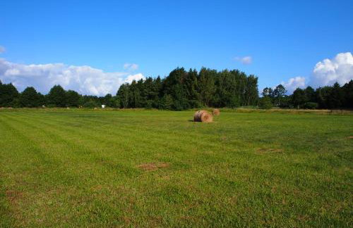 Komfortowy Domek Natura, w pobliżu Nadmorskiego Parku Krajobrazowego, 800 m od plaży - Foto 24