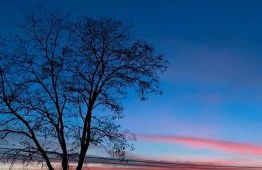 Ferienwohnung-Esel - Foto 12