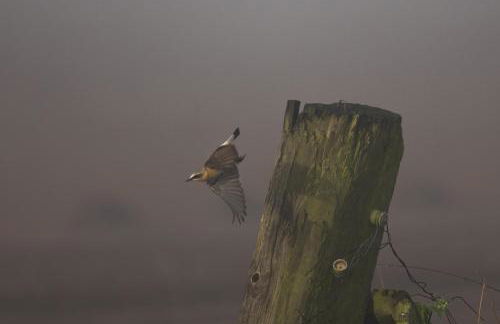 Soulton Hall - Foto 24