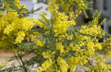 KER LONGITUDE - Foto 5