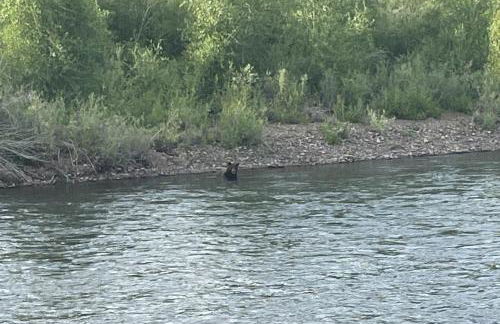 Rio Vista Haven - Foto 41