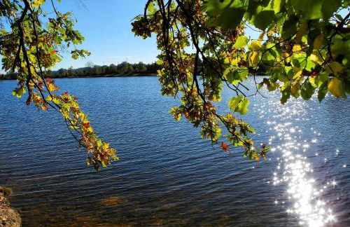 Ferienwohnungen in Losheim am See - Foto 60