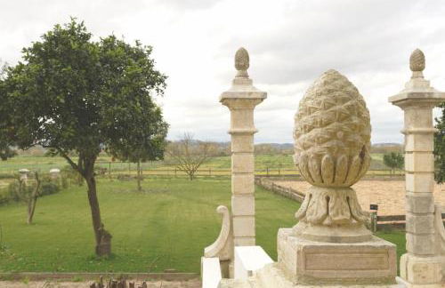 Pátio das Ribeiras - Foto 27