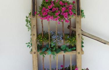 Baita dei Pini - Photo 17