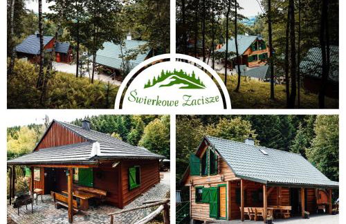 Świerkowe Zacisze Domki - Foto 2