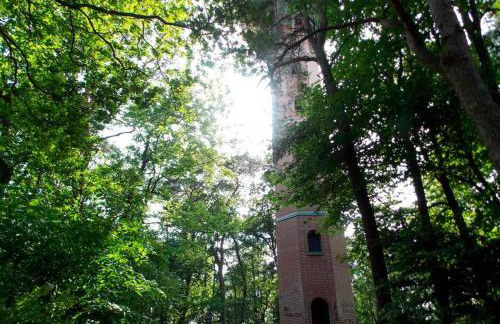 "Villa Frieda" Krakow am See - Foto 11