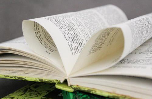 Fly in Apartment - Photo 23