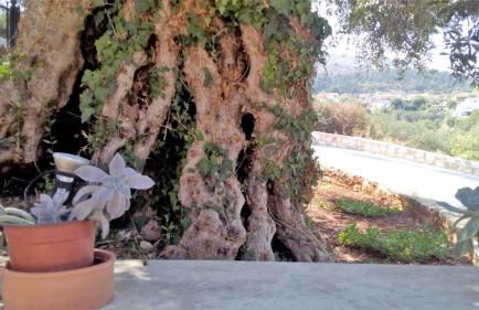 Tzitzifes Stone Mansion - Foto 37