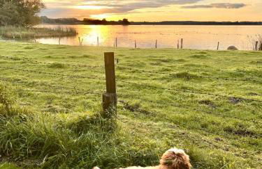 Gemütliches Studio-Apartment in Ostseenähe - Cosy Wulfi - Photo 39