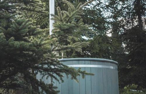 Domki na Górniej Łące - Domek Górny - Foto 28