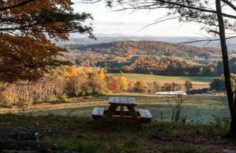 Runamuk Farm Camp Tiny House near Cambridge, New York - Foto 7