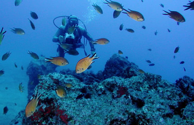 Dom Pedro Garajau - Foto 42