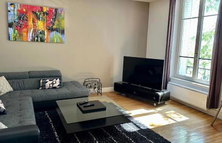 La Terrasse du Belvédère-appartement 3 chambres-Nancy- avec stationnement - Foto 10