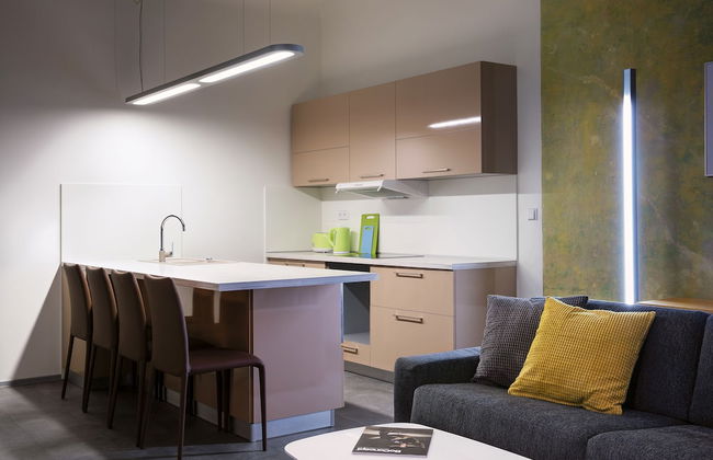 Apartments At The Blue Duckling - Photo 12