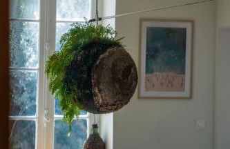 La Provence centre ville, piscine, jardin, terrasse - Foto 27