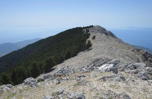 Villa Fotini - Foto 46