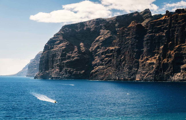 Tour en kayak por la Punta de Teno - Foto 4