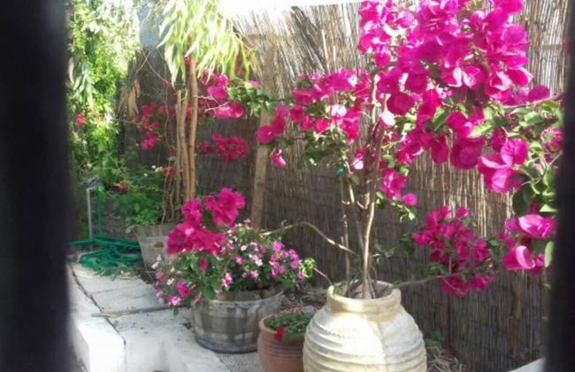 Summer Beach House Spiaggia - Foto 2