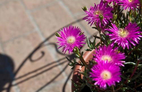 Relais Parco Del Subasio - Photo 47