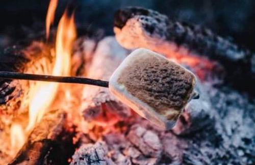 Mt Rainier Little Green Cabin On Big Creek! - Foto 16