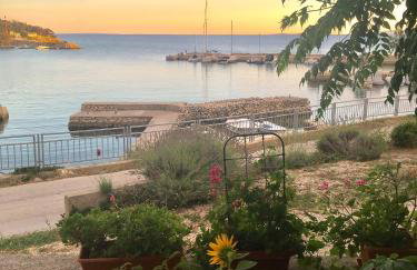 Apartments Suzana - Foto 8