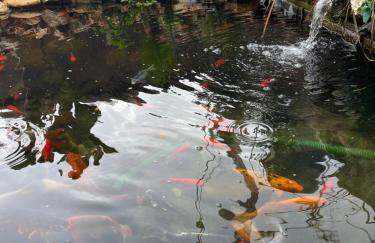 House of Sunset - Tranquility - View - Relaxation - Photo 67