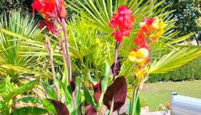 Villa Entre Bordeaux et Arcachon - Foto 2