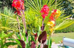 Villa Entre Bordeaux et Arcachon - Foto 2