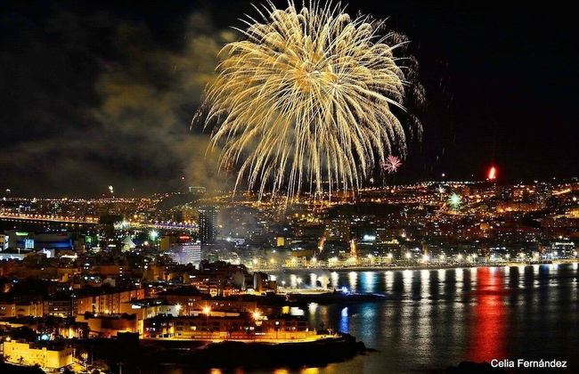 Santa Catalina Beach Flat by Canary365 - Photo 20