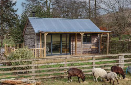 Beech Tree Cabin - Foto 1