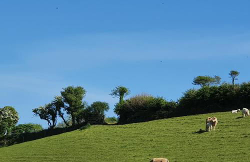 Luxury Coastal Shepherds Hut with hot tub, dining dome & a 5 Minute Walk to Pubs and Village - Foto 22