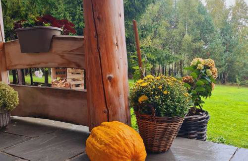 Dom Wakacyjny Brzozowy Gaj Bieszczady - Foto 33