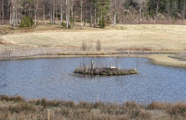 11 Person Holiday Home in Hogsater-by Traum - Photo 26