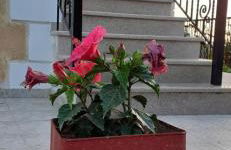 Mimi's sunnyview house - Foto 15