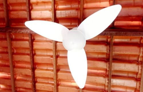 BOIPEBA Cantinho do Mirko 1 - Foto 15