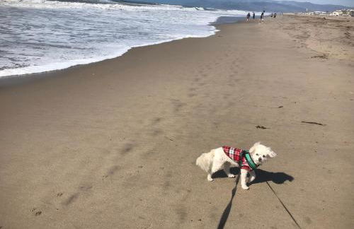 Romantic Coastal Private Room - Foto 69