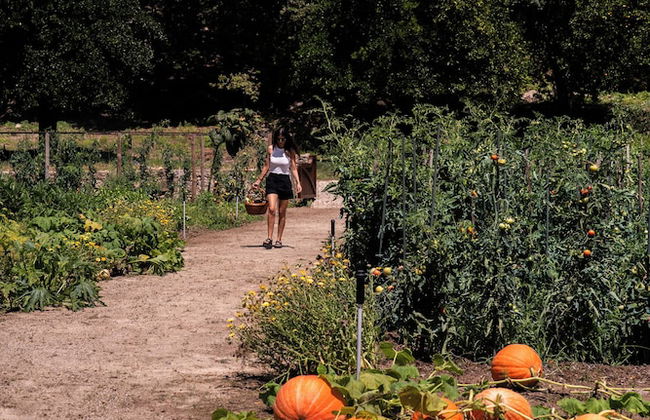 Vinte-Quinta da Boavista - Photo 66