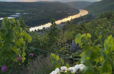 Apartment an der Mosel 2 - Foto 30