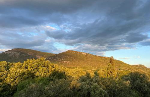 Mas Grenadine, magnifique villa du Piémont Cévenol - Foto 8