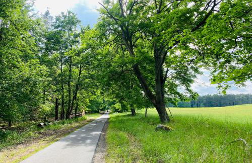 Klein aber fein in der Altstadt - Photo 17