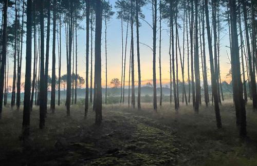 Sercem i Kopytem - Foto 39