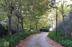 Quinta da Touça - Foto 1