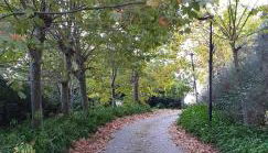 Quinta da Touça - Foto 1