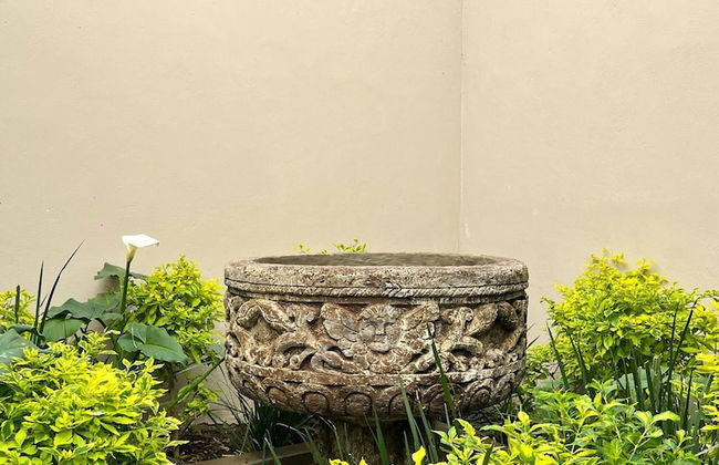 Malen House San Miguel de Allende Mexico - Foto 47