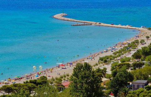 Sea La Vie - Photo 42