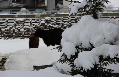 Villa Ortensia - Photo 36