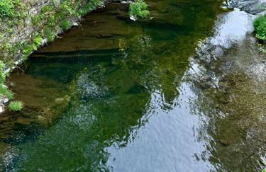 Escapada na Natureza - Charmoso Refúgio nas Alturas - Foto 44